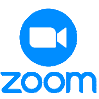 Zoom logo